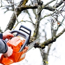 Gomez Tree Service - Tree Service