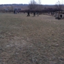 Grandview Dog Park