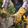 J&L Budget Tree Service gallery