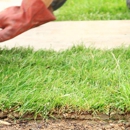 A & N Sod Supply Inc - Landscaping & Lawn Services