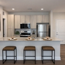 Argento on the Broad