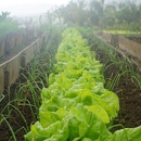 Roberts Ranch Hoophouses - Greenhouse Builders & Equipment