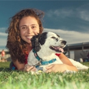 Dog Training NYC - Pet Services