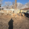 FILI Tree Expert & Landscaping gallery