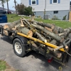 Scotts Tree Service gallery