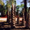 Greenville Landscaping Source gallery