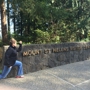 Mount St Helens Visitor Center