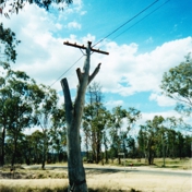 Gallery Image Number 5