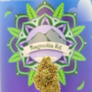 Magnolia Road Cannabis Co. - Tourist Information & Attractions
