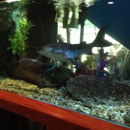 Btown Reefs and Aquatics LLC - Pet Services