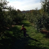 Libby & Son U-Picks gallery