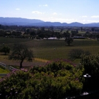 The Brander Vineyard