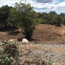 AZ Land Restoration - Grading Contractors