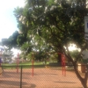 Leeward YMCA gallery