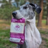 Animal Lovers Pet Supply gallery