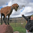 Aces at Rock Bottom Ranch - Environmental & Ecological Consultants