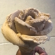 Amorino Gelato