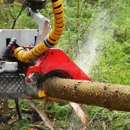 Capital City Tree Service - Tree Service