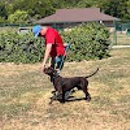 Dog Gone It K9 - Dog Training