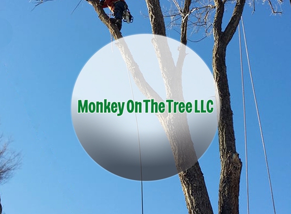 Monkey On The Tree - Denver, CO