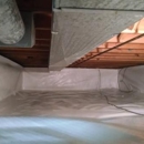 Badger Basement Systems - Mold Remediation