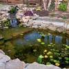 Guardian Landscape gallery