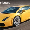 Adrenaline gallery