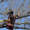 North Shore Tree Service gallery