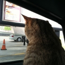 Sonic Drive-In - Fast Food Restaurants