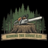 Redmond Tree Service Elite gallery
