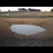 Gallery Image Number 8