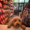 Woof Gang Bakery & Grooming Cape Coral gallery