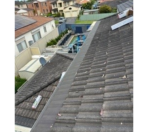 RSA Gutter Mesh Pty Ltd - Gregory Hills, NSW