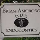 Amoroso Brian Dds