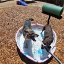 Reynolds Pet Resort - Tualatin