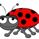 Cuttle Bug Taxi & Car Service Inc. - Airport Transportation