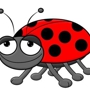 Cuttle Bug Taxi & Car Service Inc.