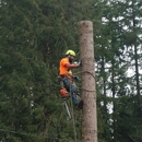 Pennella Tree Service - Tree Service