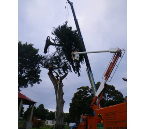 Forest & Garden Tree Services - Warrnambool, VIC. Hazard tree Removal Using 50 Ton Crane