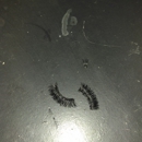 Main St Nail Salon - Nail Salons