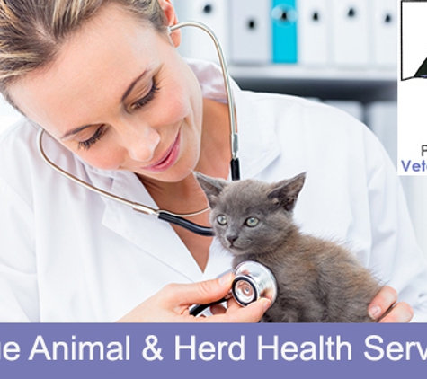 Port Augusta Veterinary Services - Port Augusta, SA. Large Animal & Herd Health Services