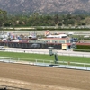 Los Angeles Turf Club Inc gallery