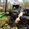 Arbor Care Tree Service gallery