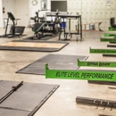 Elite Level Performance - Chiropractors & Chiropractic Services