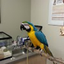 Vida Veterinary Care - Veterinary Labs