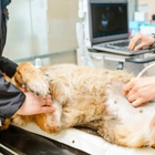 Progressive Pet Hospital