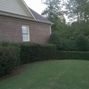 Hedgehog Trimming - Landscaping & Lawn Services
