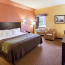 Comfort Inn Near Medical Center - Motels