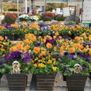 Schwartz's Greenhouse - Garden Centers