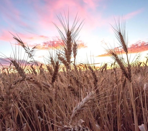 Charles & Partners - Mildura, VIC